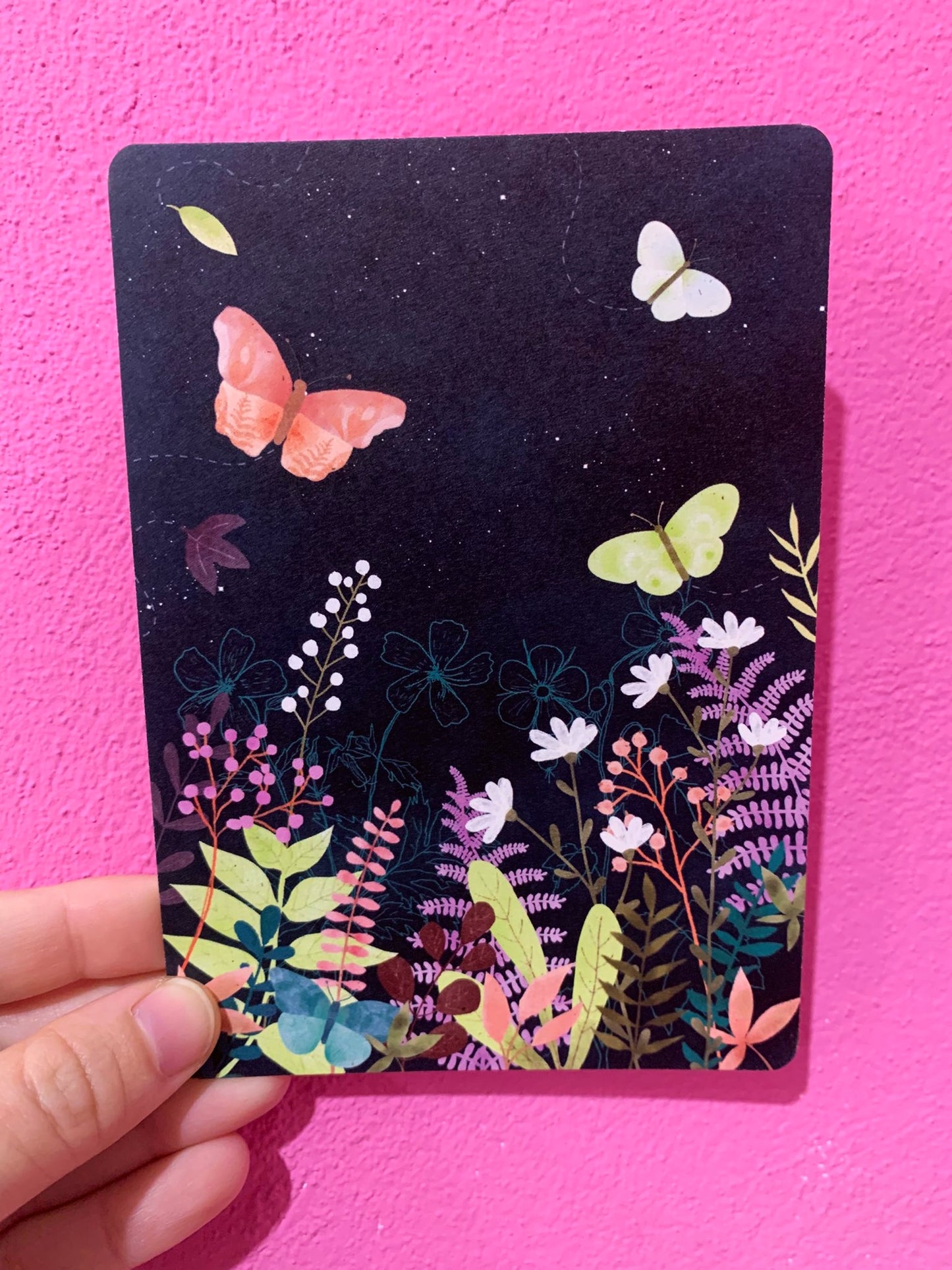 Cartolina Farfalle Nella Notte