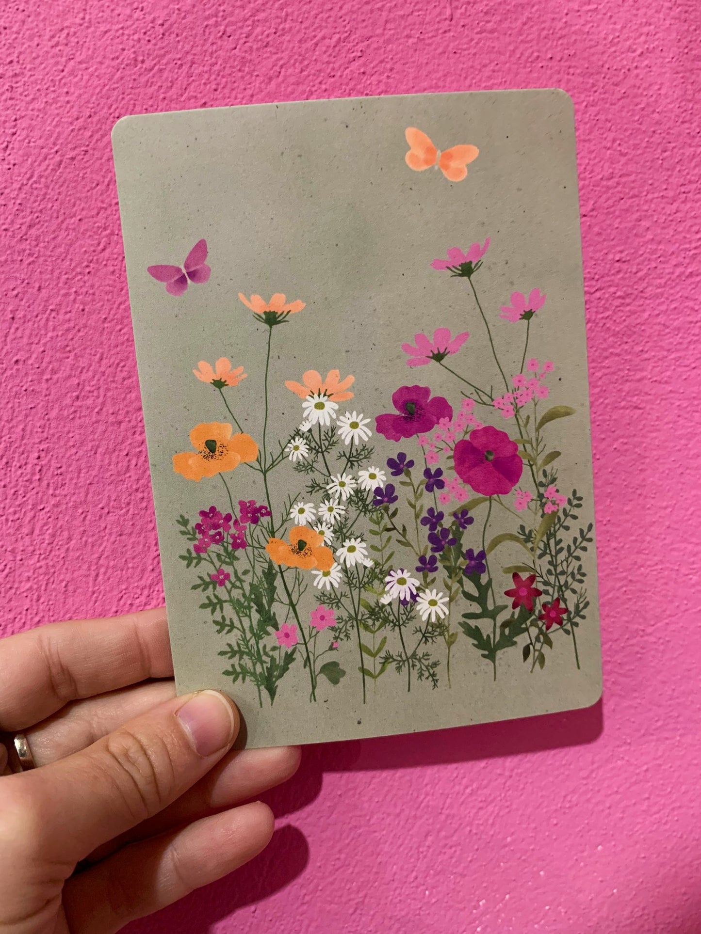 Cartolina Fiori Di Campo