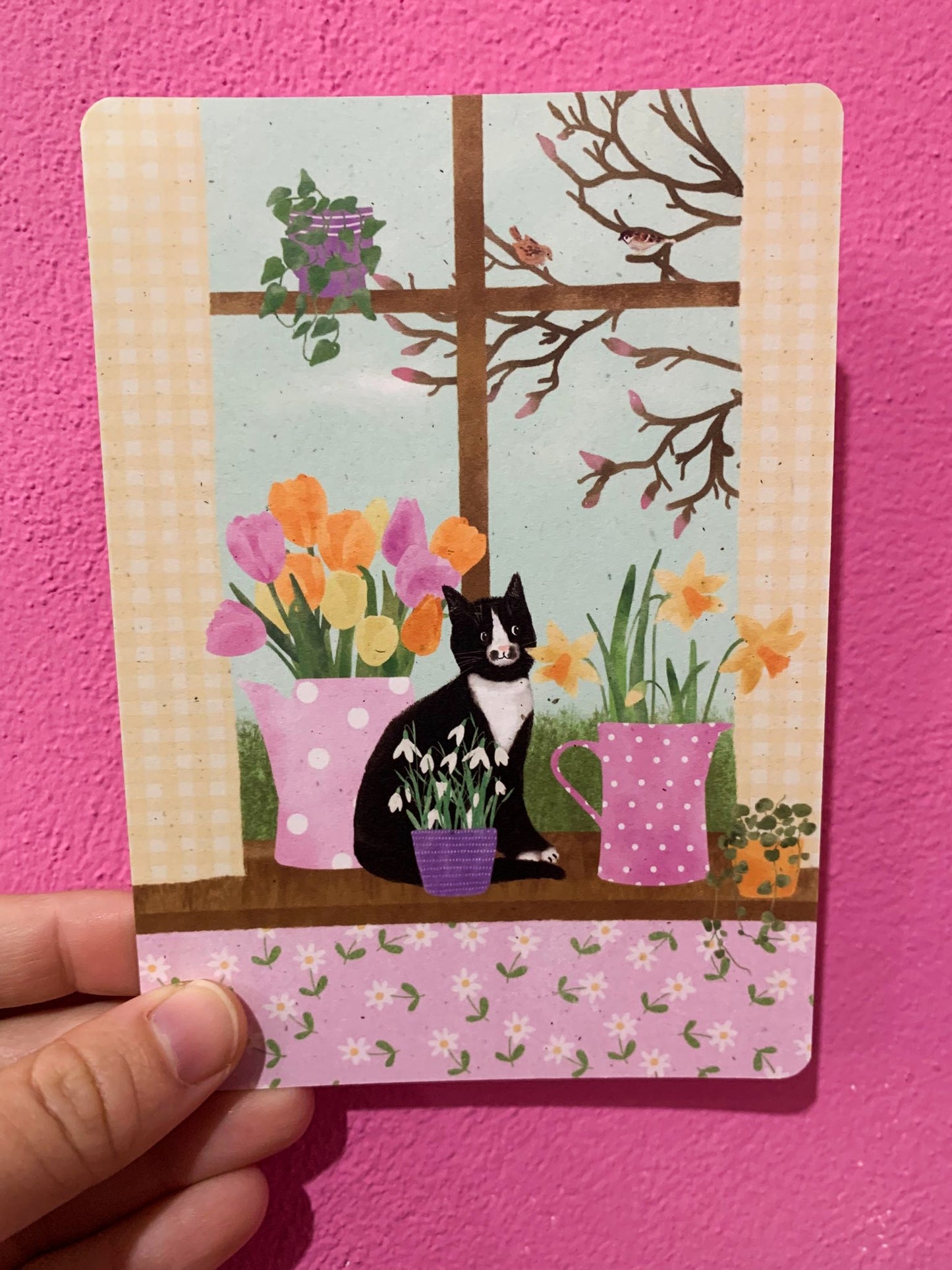 Cartolina Gatto Con Tulipani Su Finestra