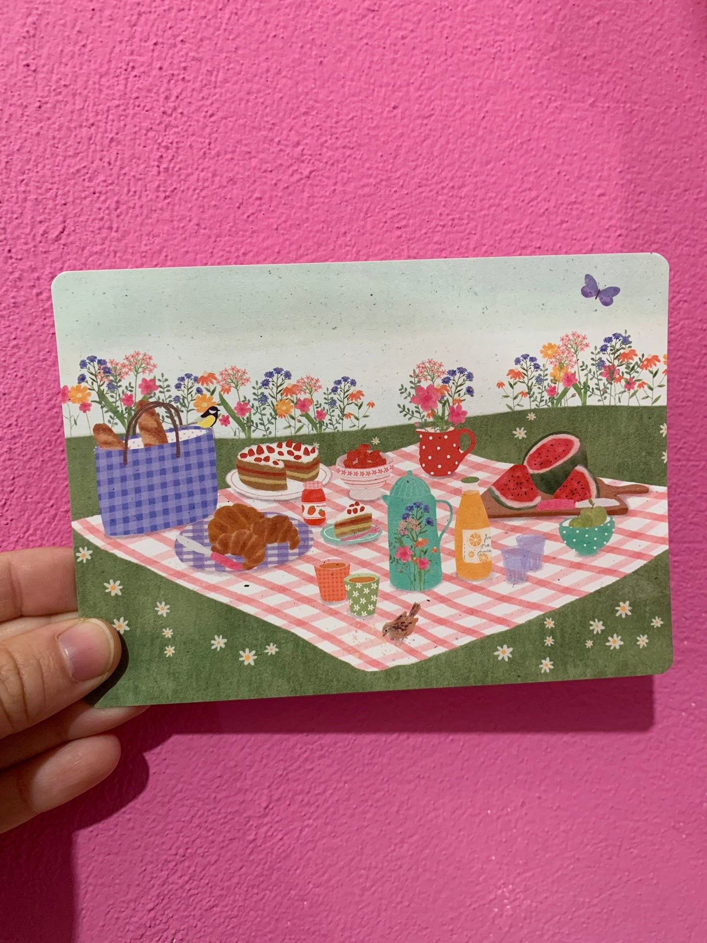 Cartolina Picnic Sul Prato