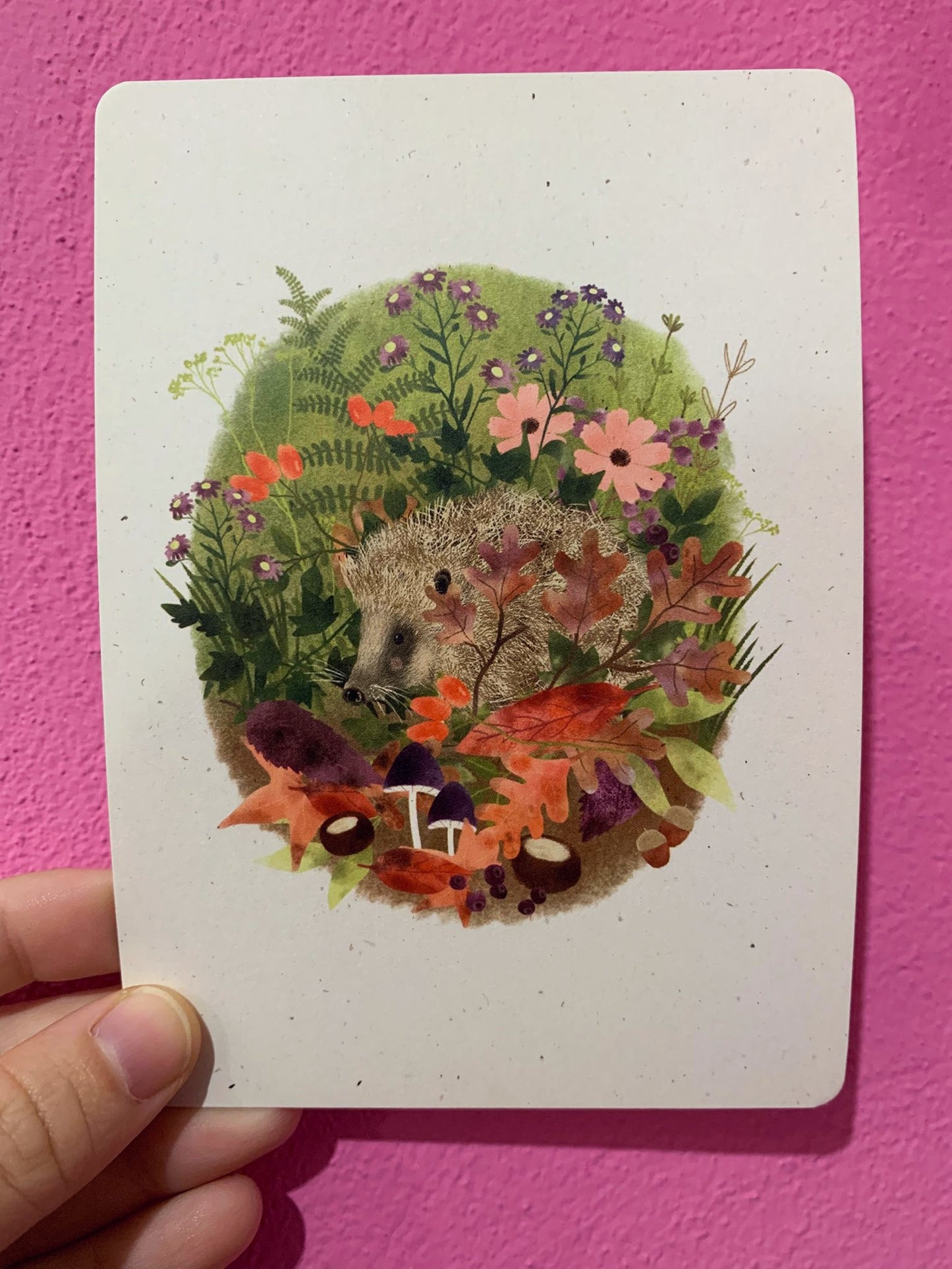 Cartolina Riccio In Giardino