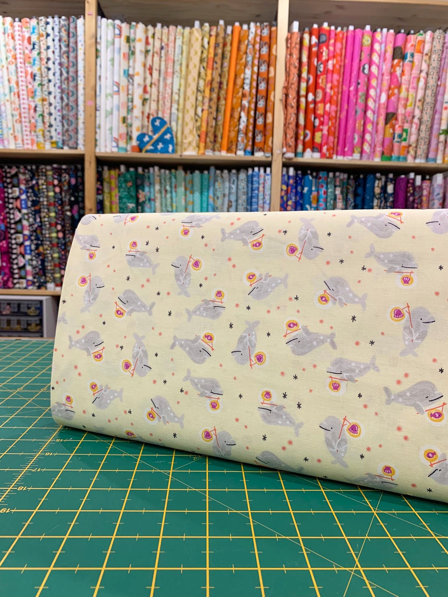 Cotone Americano Long Time No Sea Nothing But Blue Skies And Ocean Tides Morning Light