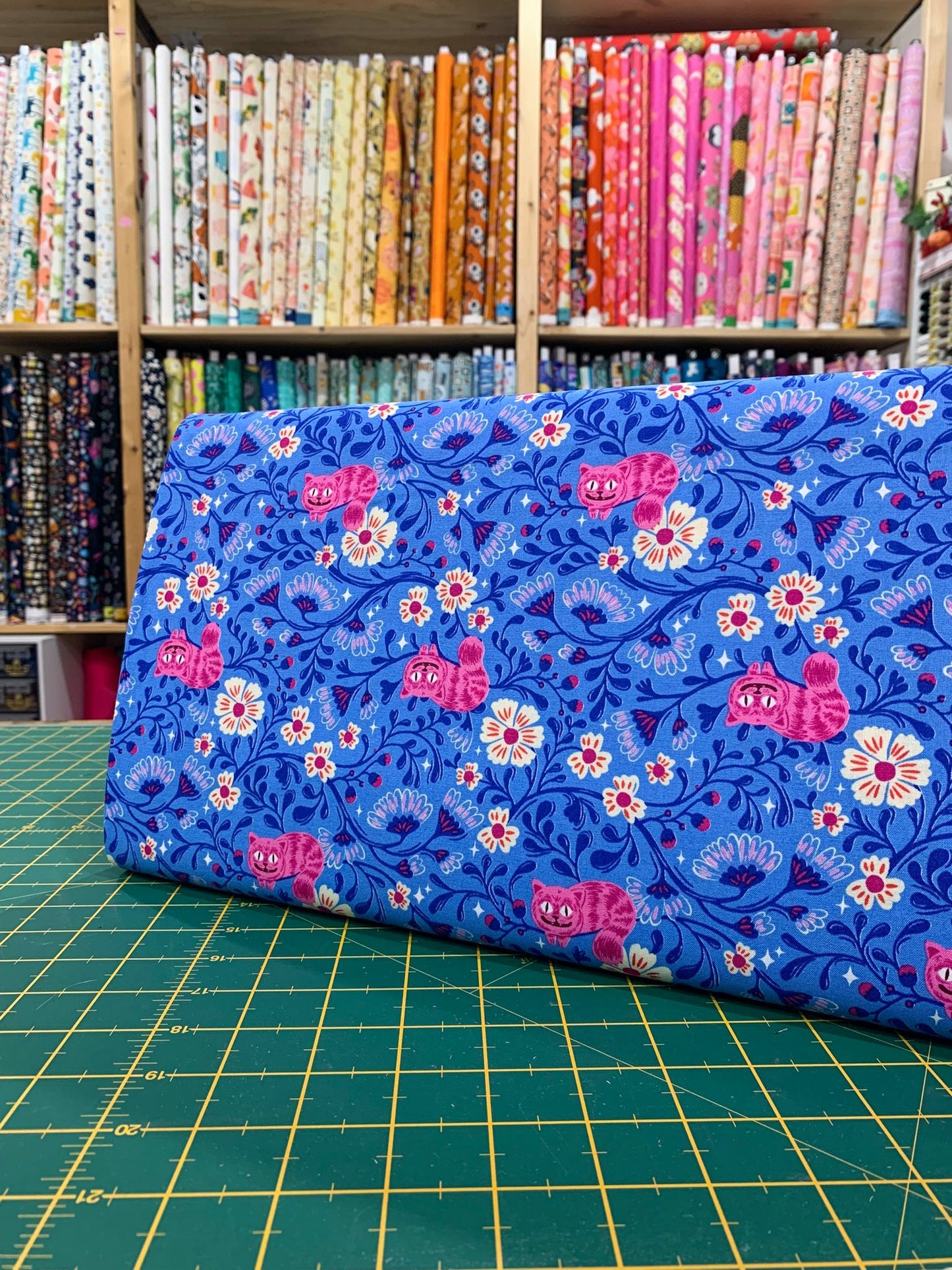 Cotone Americano Hello Alice Cheshire Cat Blue