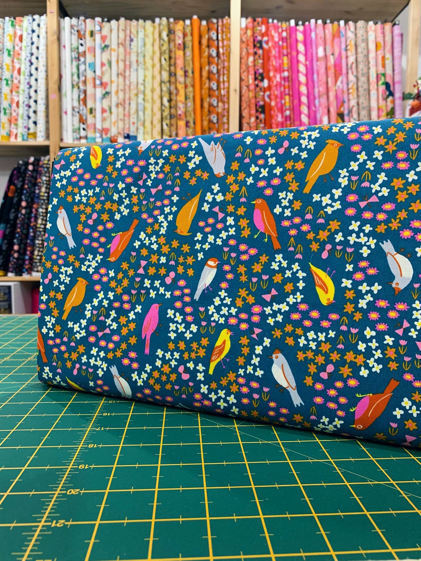 Cotone Americano Bird Is The Word Spark Birds