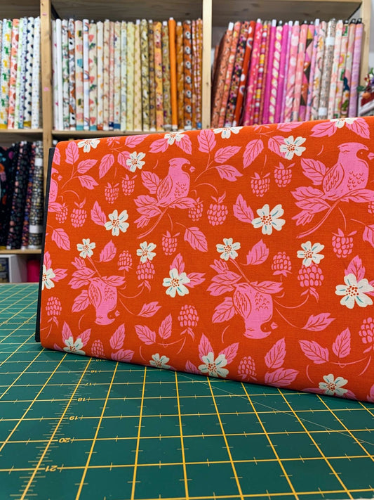 Cotone Americano Backyard Cardinal Fire