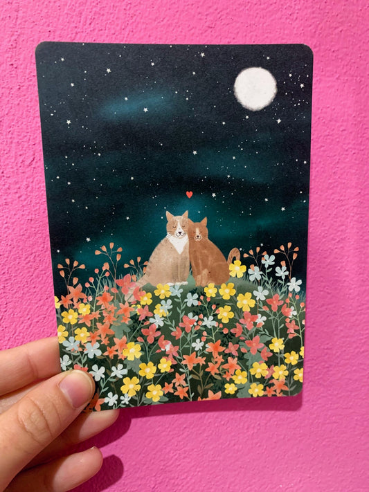 Cartolina Gatti Nella Notte