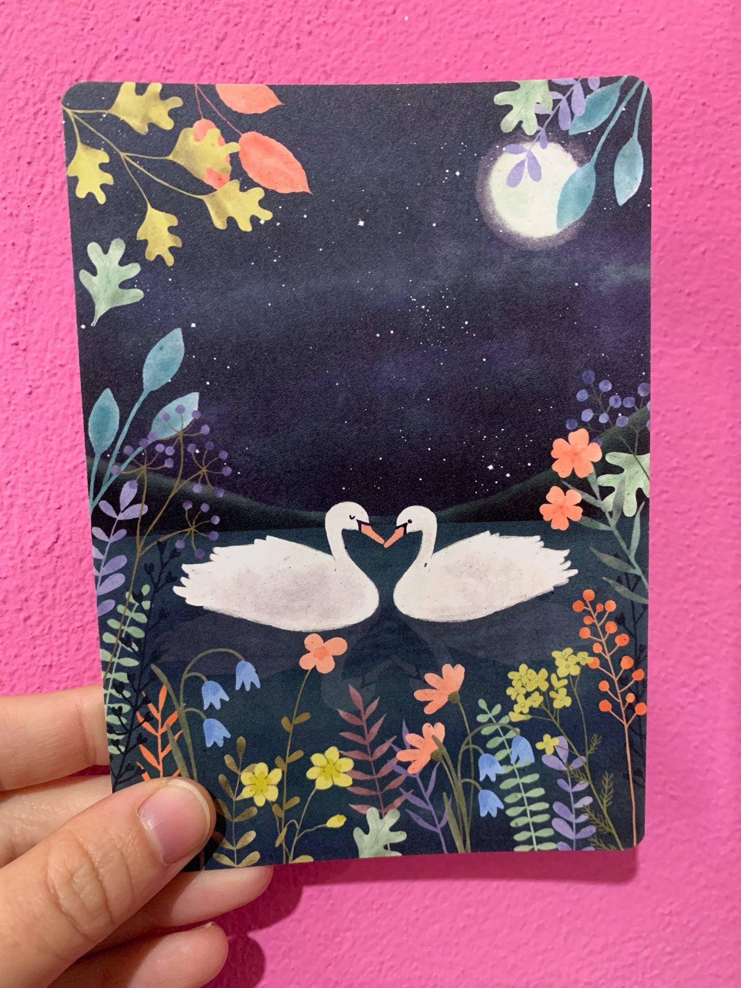 Cartolina Cigni Nella Notte