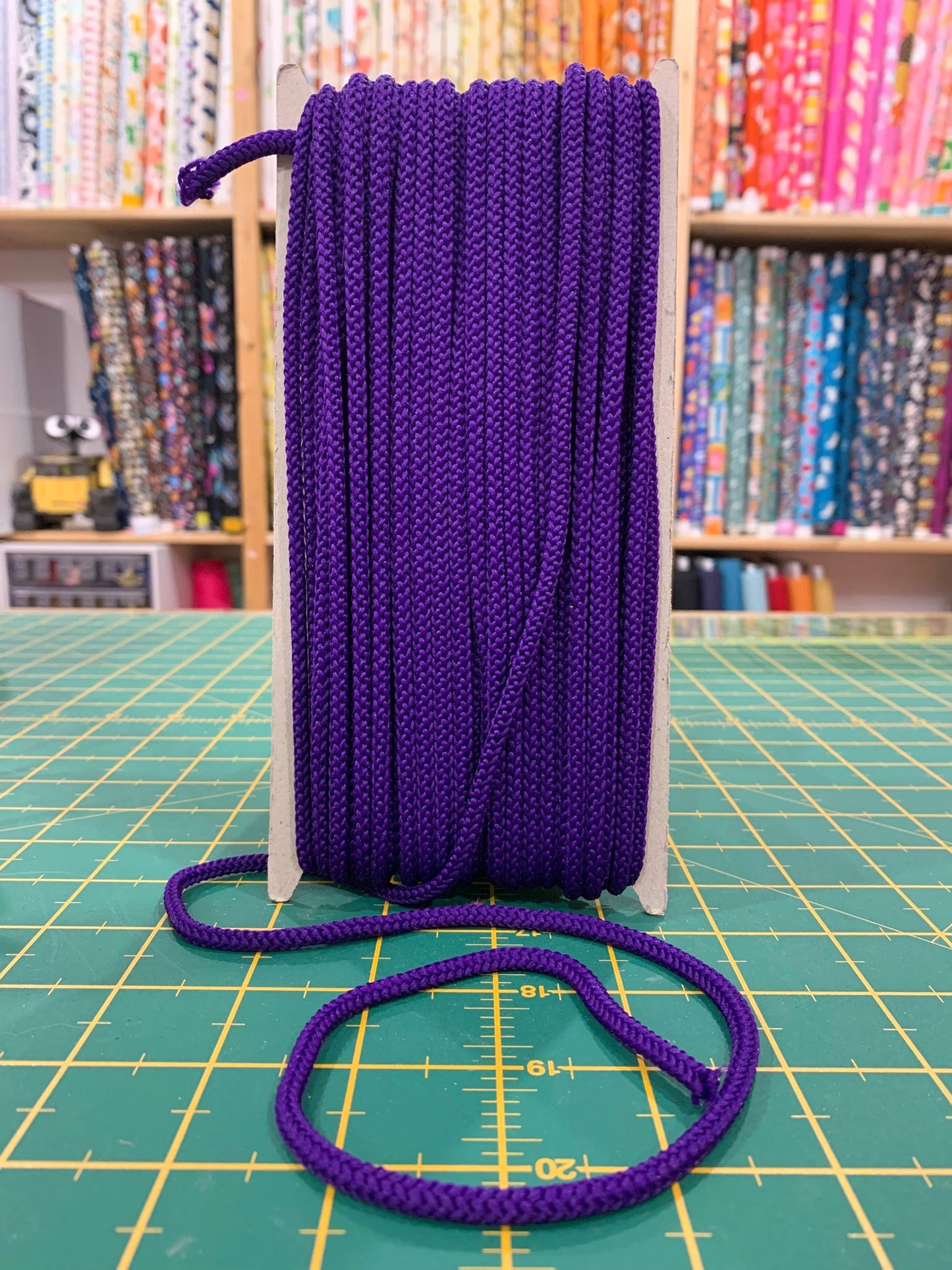 Cordino Coulisse Viola