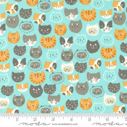 Cotone Americano Here Kitty Kitty Novelty Cats