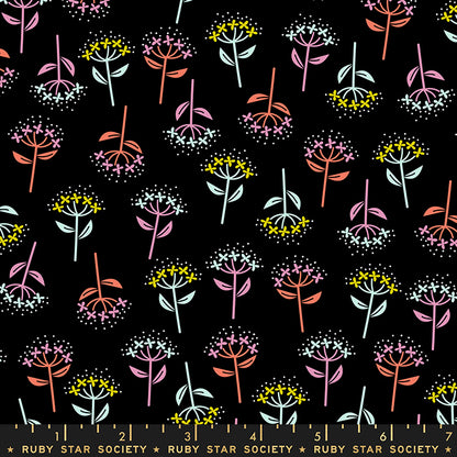 Cotone Americano Adorn Black