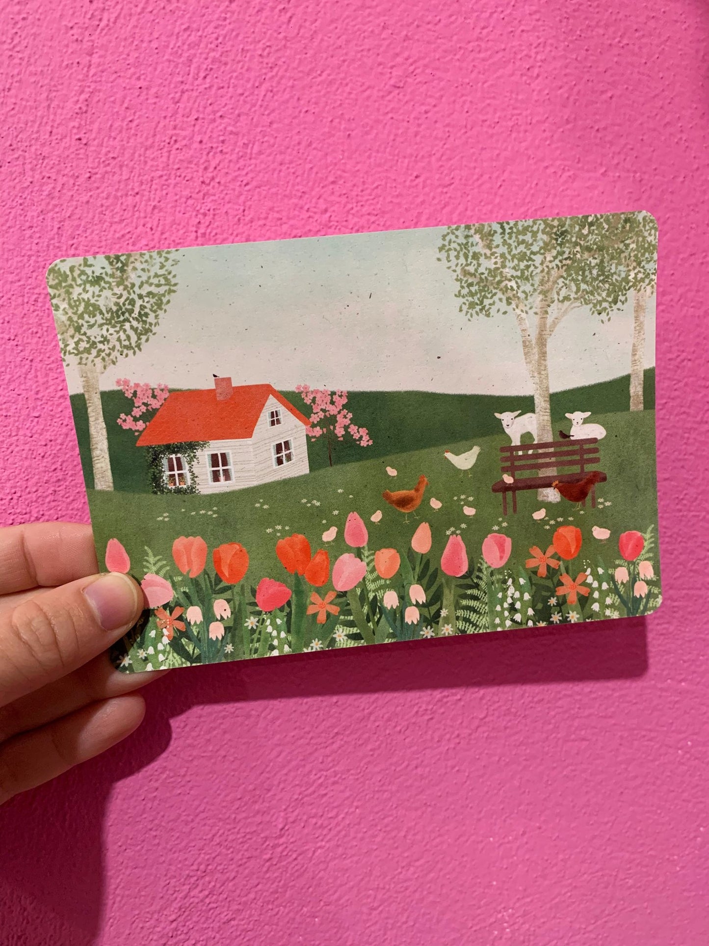 Cartolina Casa Con Tulipani