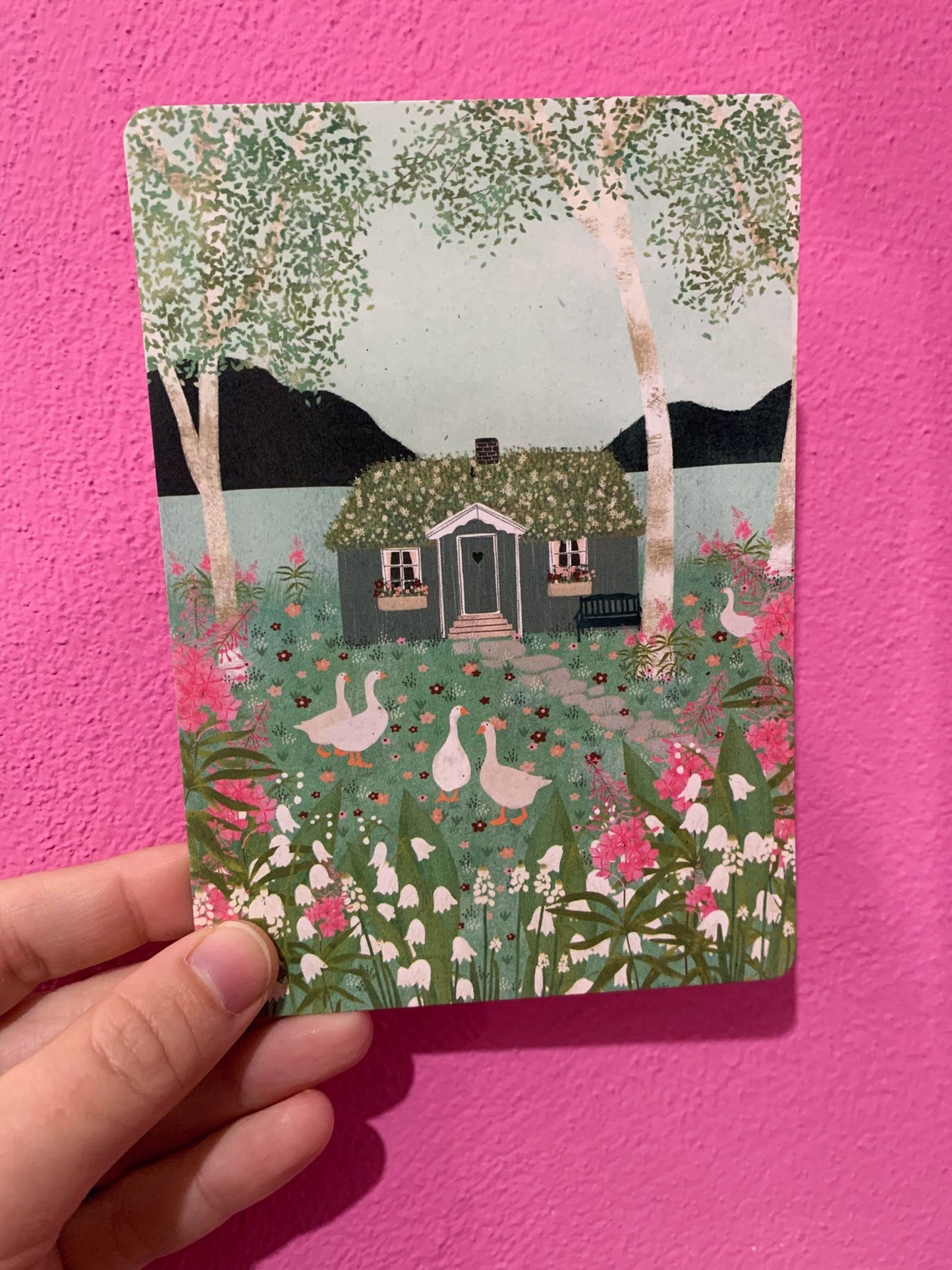 Cartolina Cottage Con Papere