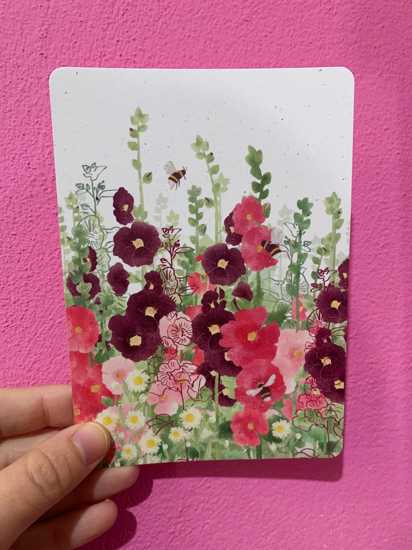 Cartolina Campo di Fiori