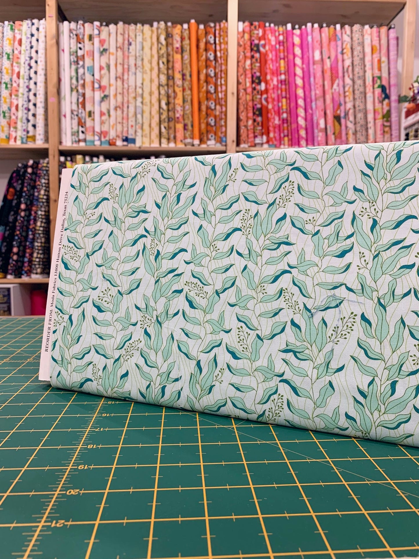 Cotone Americano Legendary Love Aqua Willow Leaf Vine