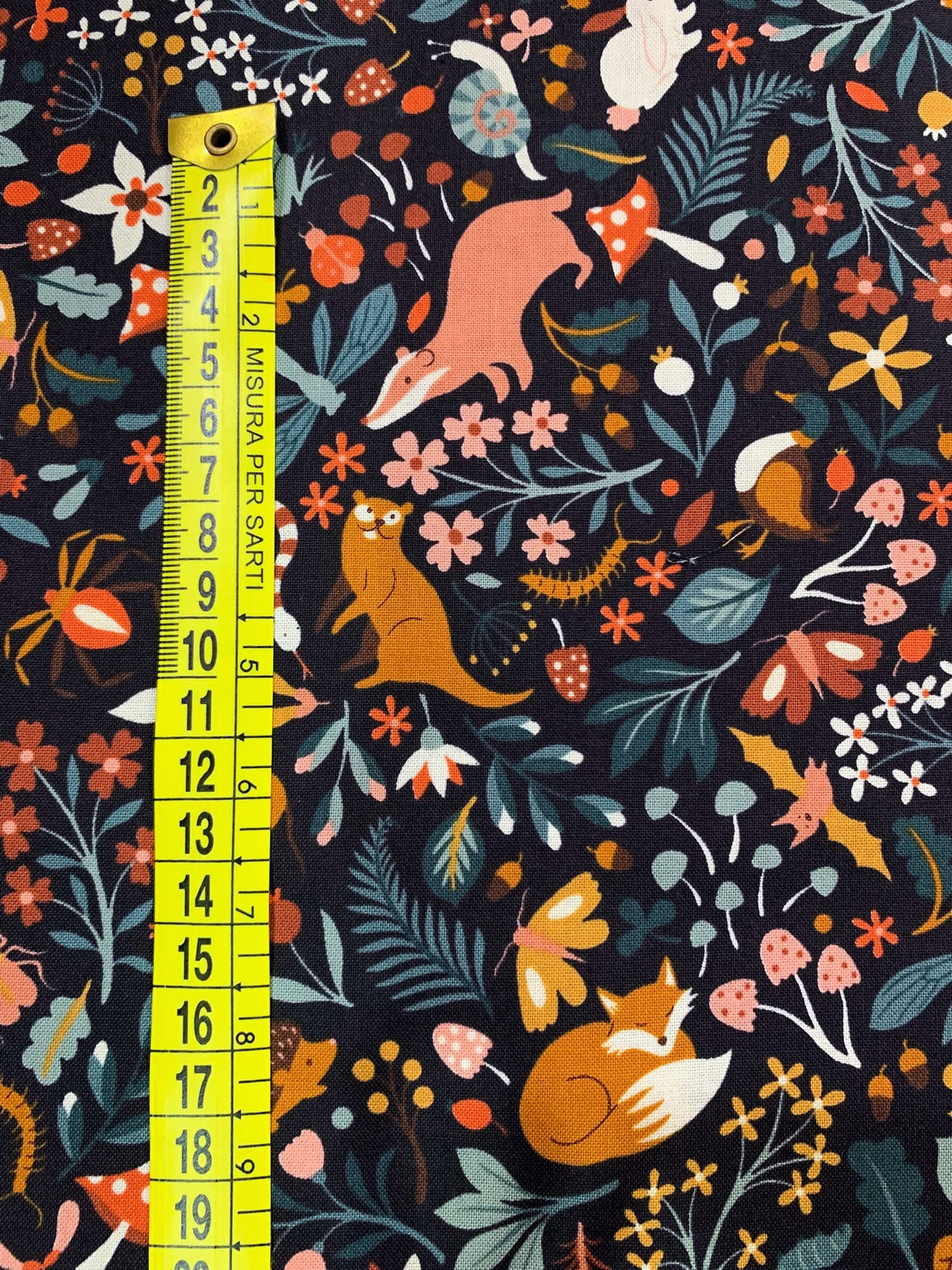 Cotone Americano Acorn Hollow Flora and Fauna Soil - Animali Del Bosco
