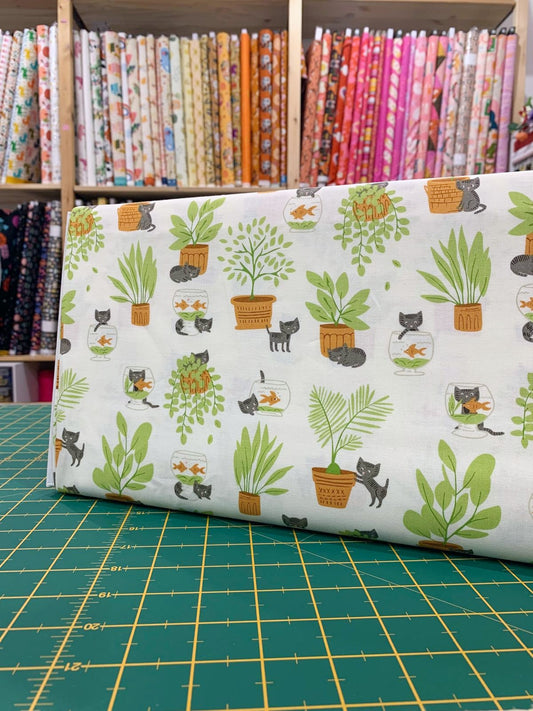 Cotone Americano Mischievous Kitty Novelty Cats