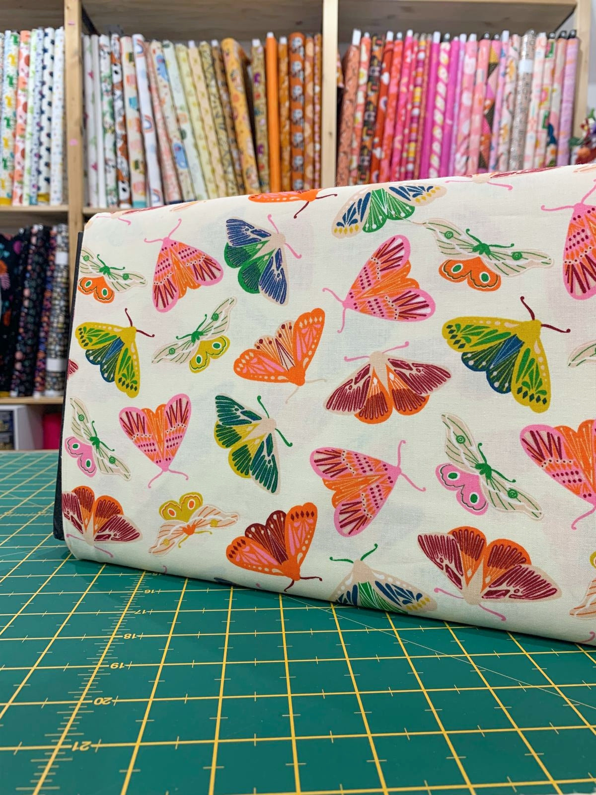 Cotone Americano Fluttering Novelty Moth Insects Bold