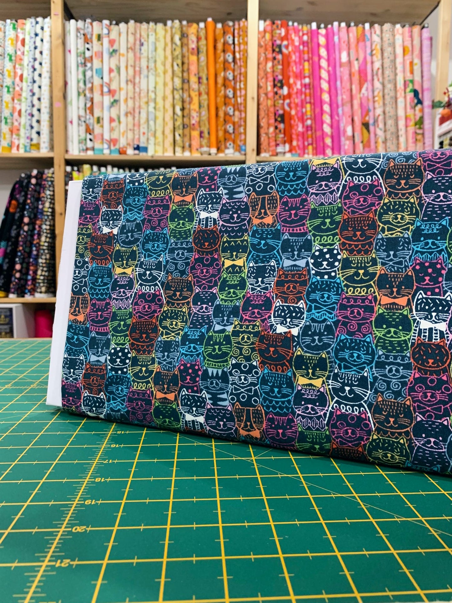 Cotone Americano Portrait Cats Blue