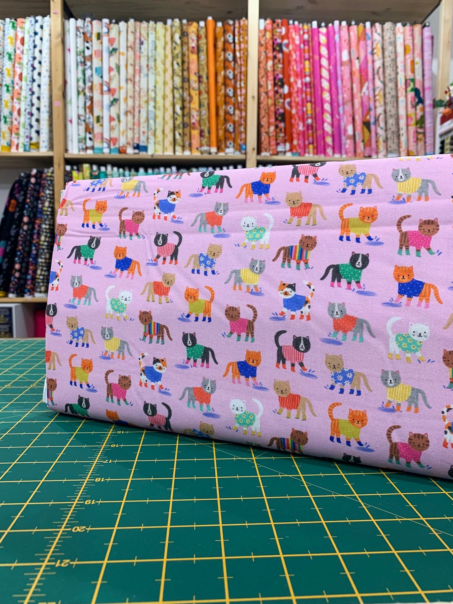 Cotone Americano Splash Cats