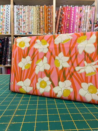 Cotone Americano Reverie Sorbet