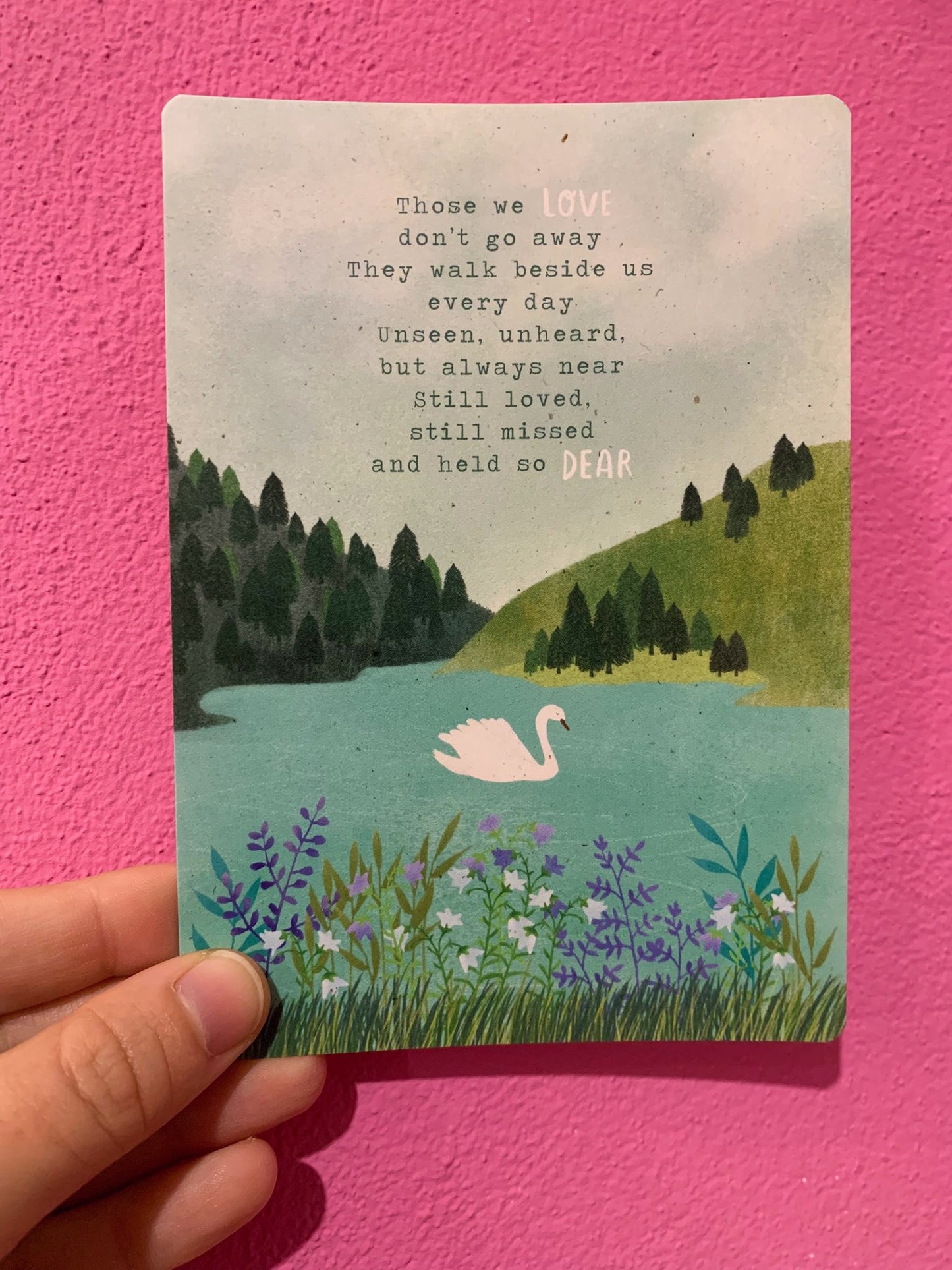 Cartolina Coloro Che Amiano