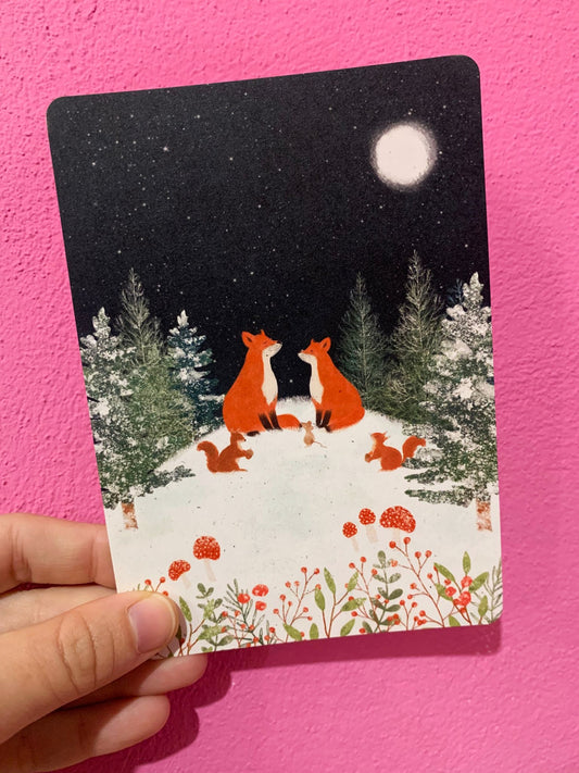 Cartolina Volpi Nella Notte