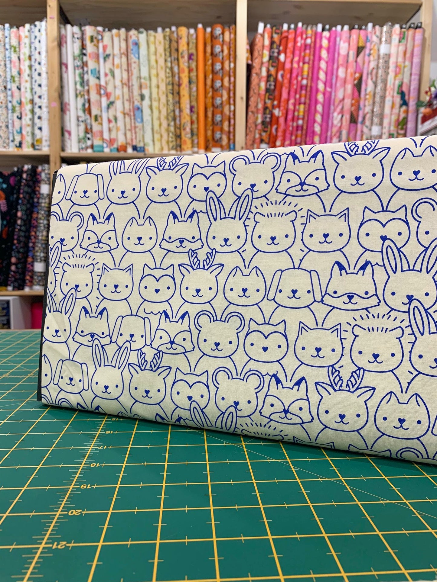 Cotone Americano Woodland Park Blue Ribbon Animals